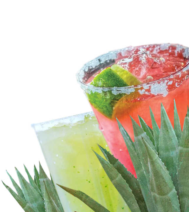 Rasta Rita