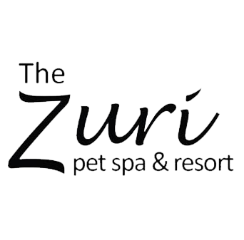 Zuri