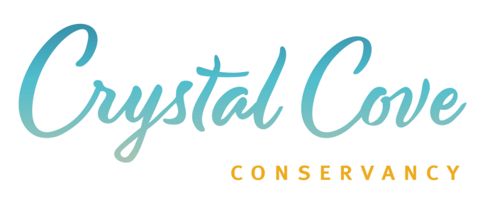 Crystal Cove