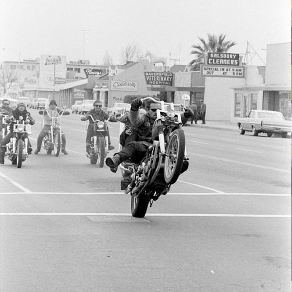 Friday Five Links We Love