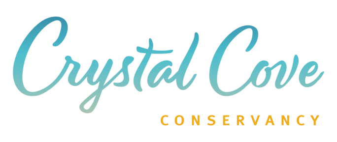 Crystal cove - Rasta Rita